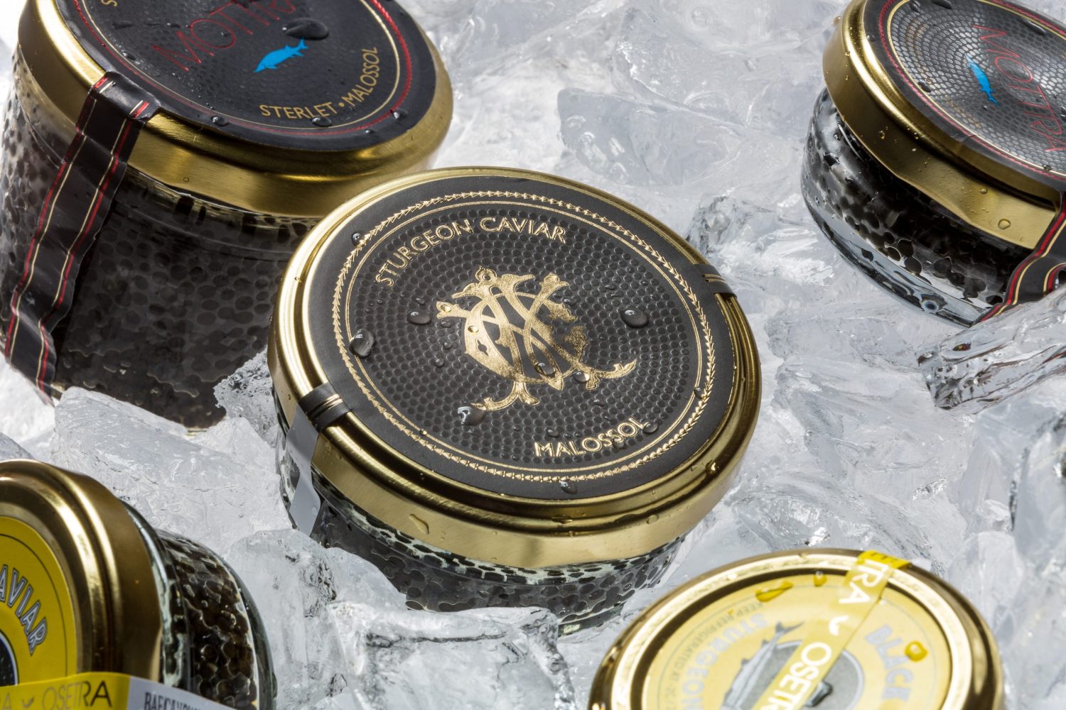 Gold 24k Black Osetra Caviar