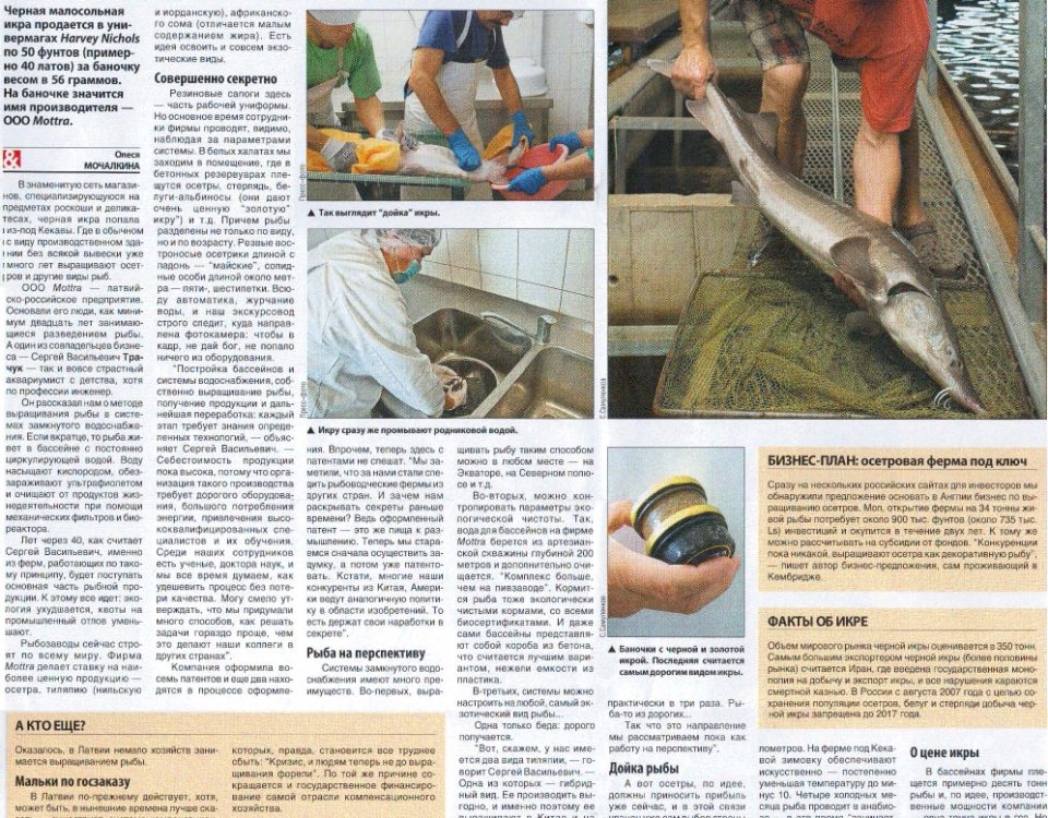 Балтийский Голос