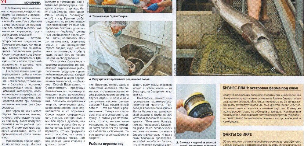 Балтийский Голос