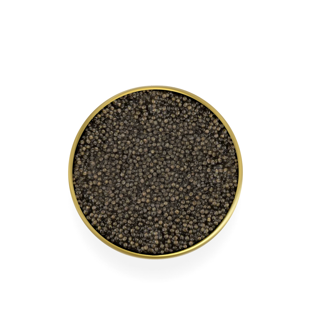 Imperial Osetra sturgeon caviar